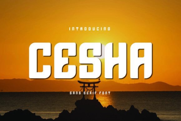 Cesha: The Bold Sans Serif Font That Elevates Small Business Branding