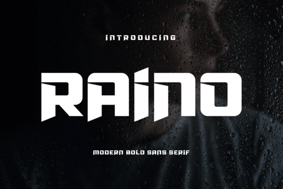 Raino Font Review: A Bold Sans Serif for Modern Web Design